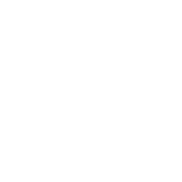播放